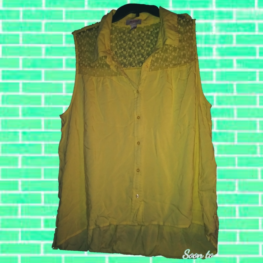 Ladies top